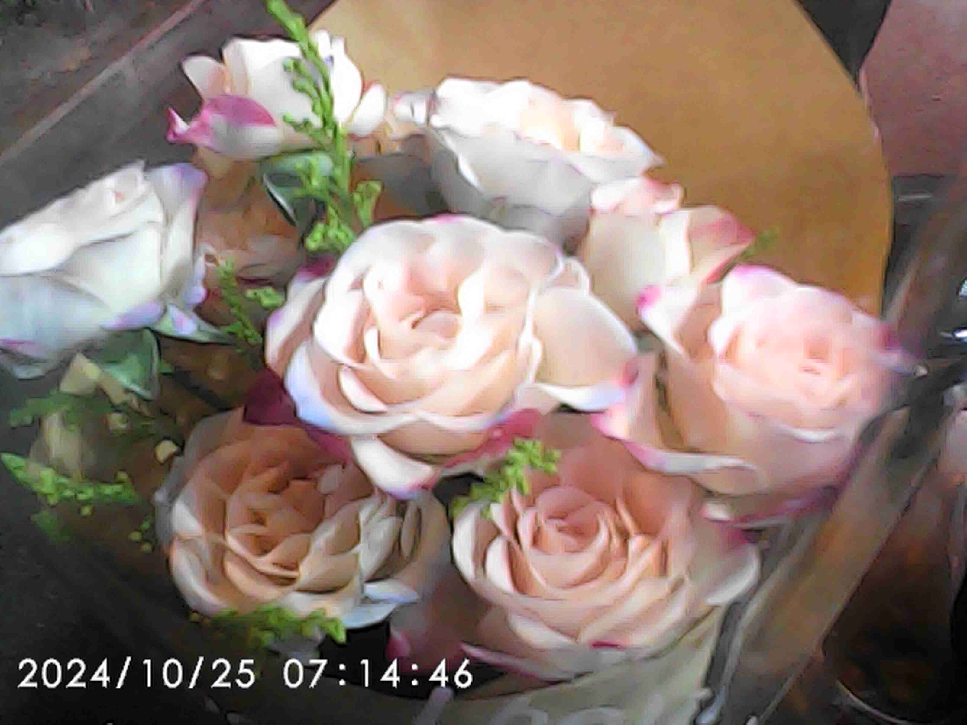 花花💐-双生社区