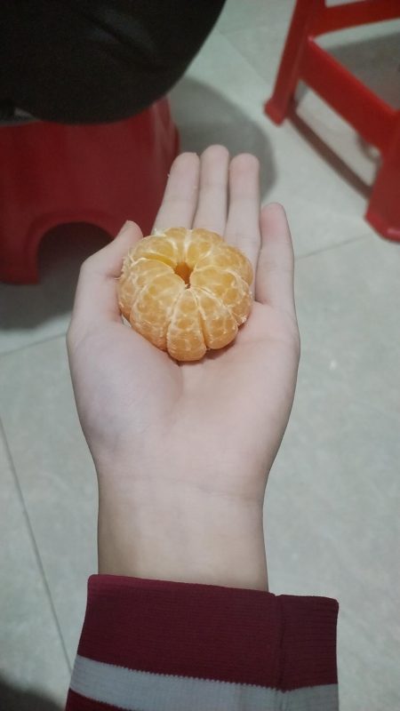 橘子🍊-双生社区