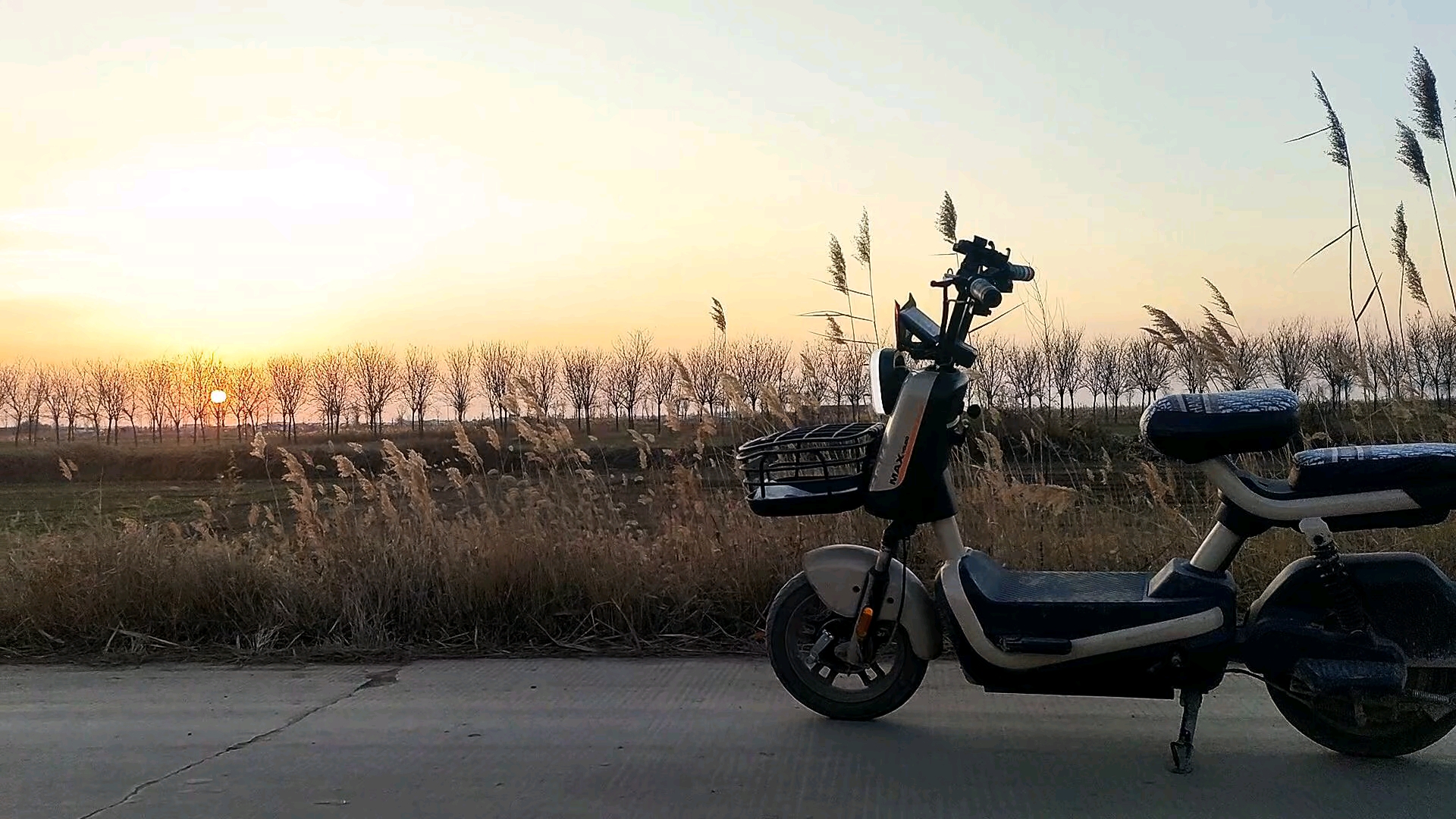 我的爱车-双生社区