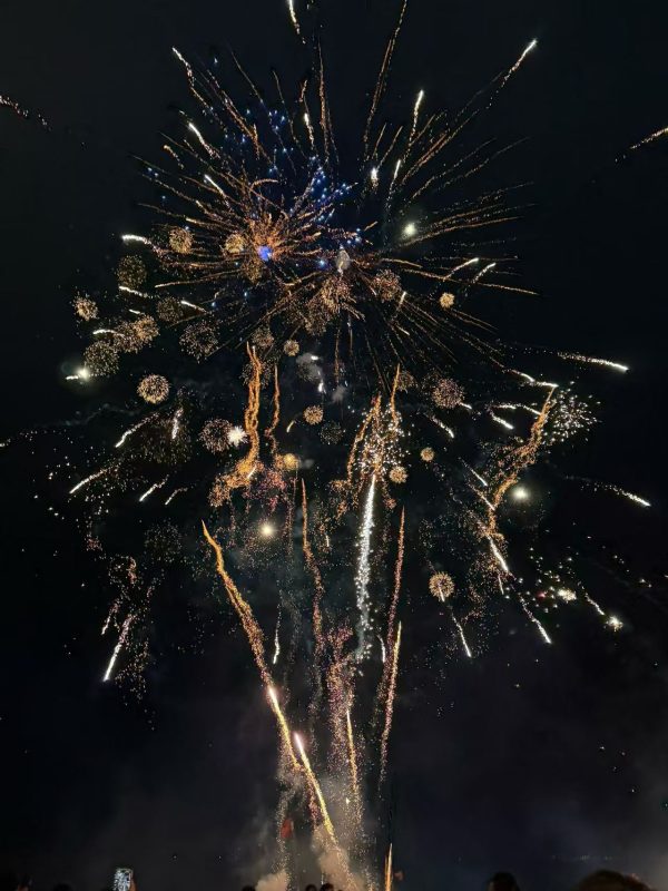 好美的烟花🎇-双生社区